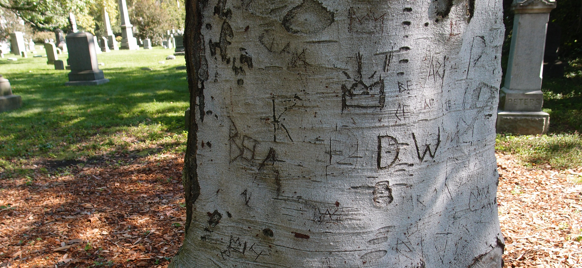 Green-Wood Cemetery, Photo: Natalie Wichmann