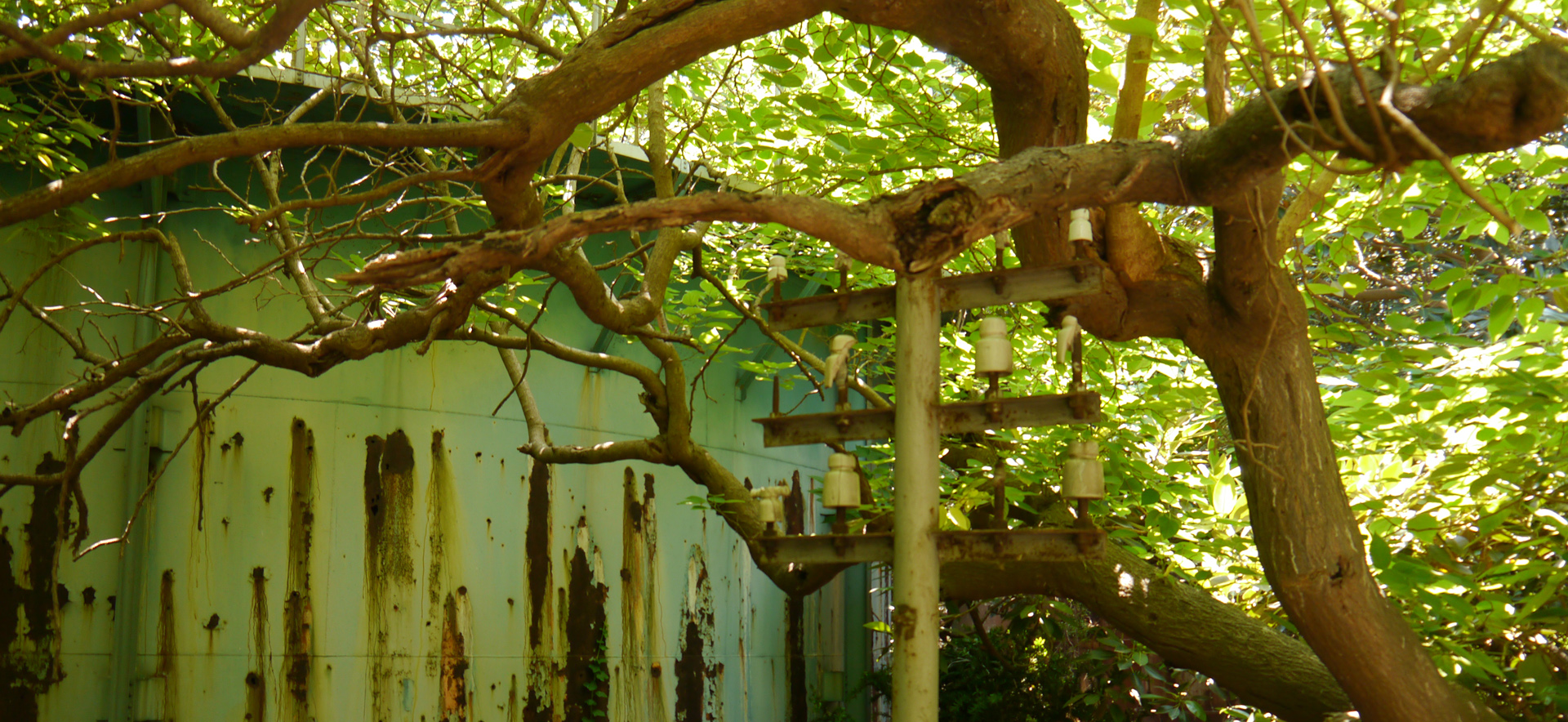 Orto Botanico, Foto: Ekkehard Tanner