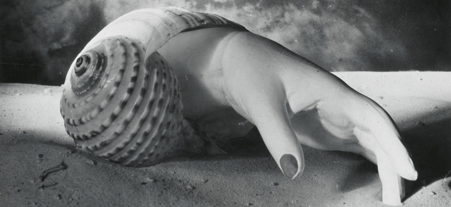 Dora Maar Untitled (Hand-Shell) 1934 © Estate of Dora Maar / DACS 2019, All Rights Reserved