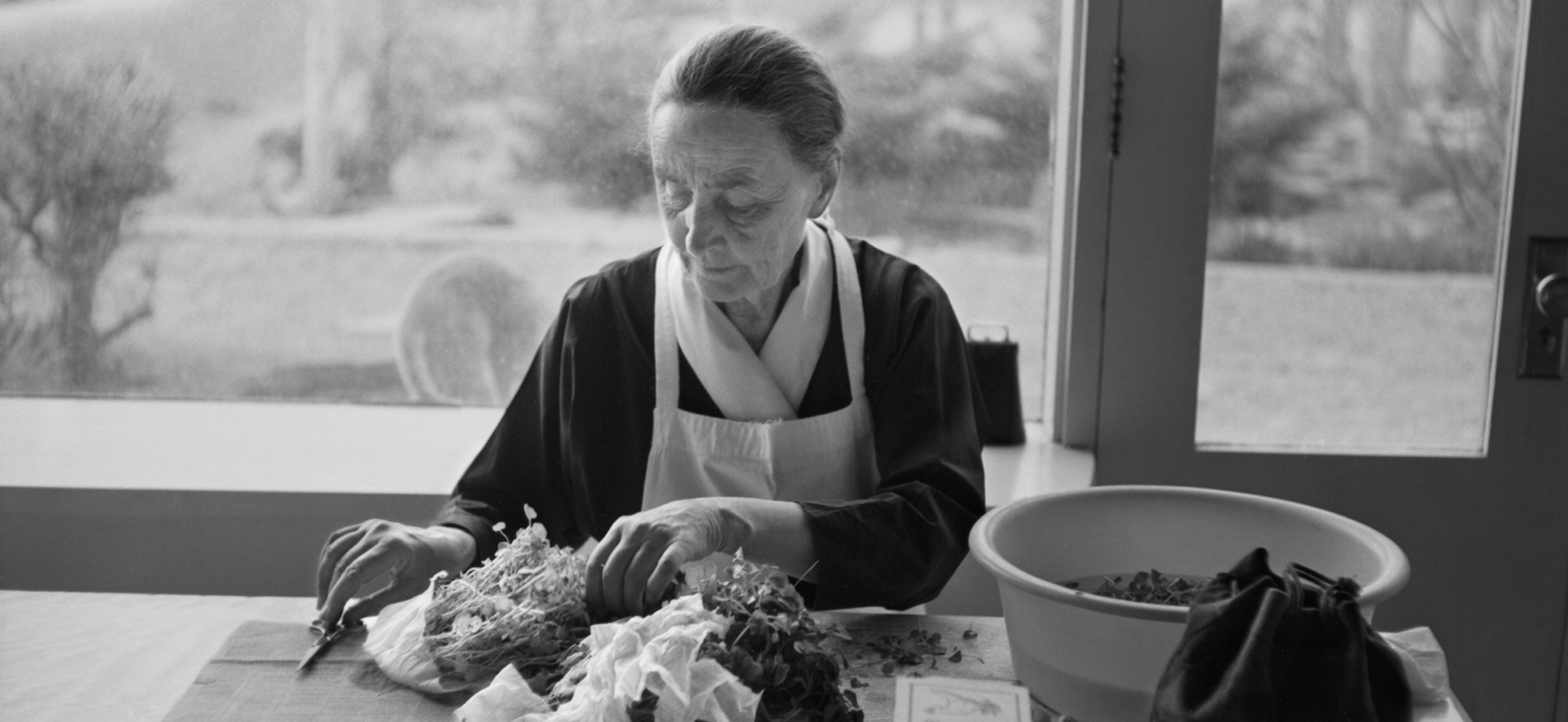 Georgia O’Keeffe cutting herbs, New Mexico 1960 by Tony Vaccaro © Tony Vaccaro / Tony Vaccaro Studio