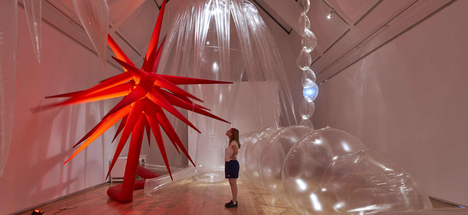 Detail: Plastic World, Otto Piene, Anemones: An Air Aquarium, 1976, Neuproduktion 2023, Installationsansicht, © Schirn Kunsthalle Frankfurt 2023, Foto: Norbert Miguletz